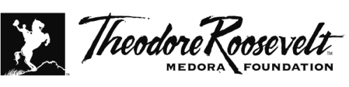 https://gspsolutions.com/wp-content/uploads/2026/01/Medora-Logo-1-500x125-1.webp